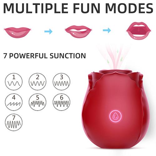 Wholesale Rose Vibrator 10PCS